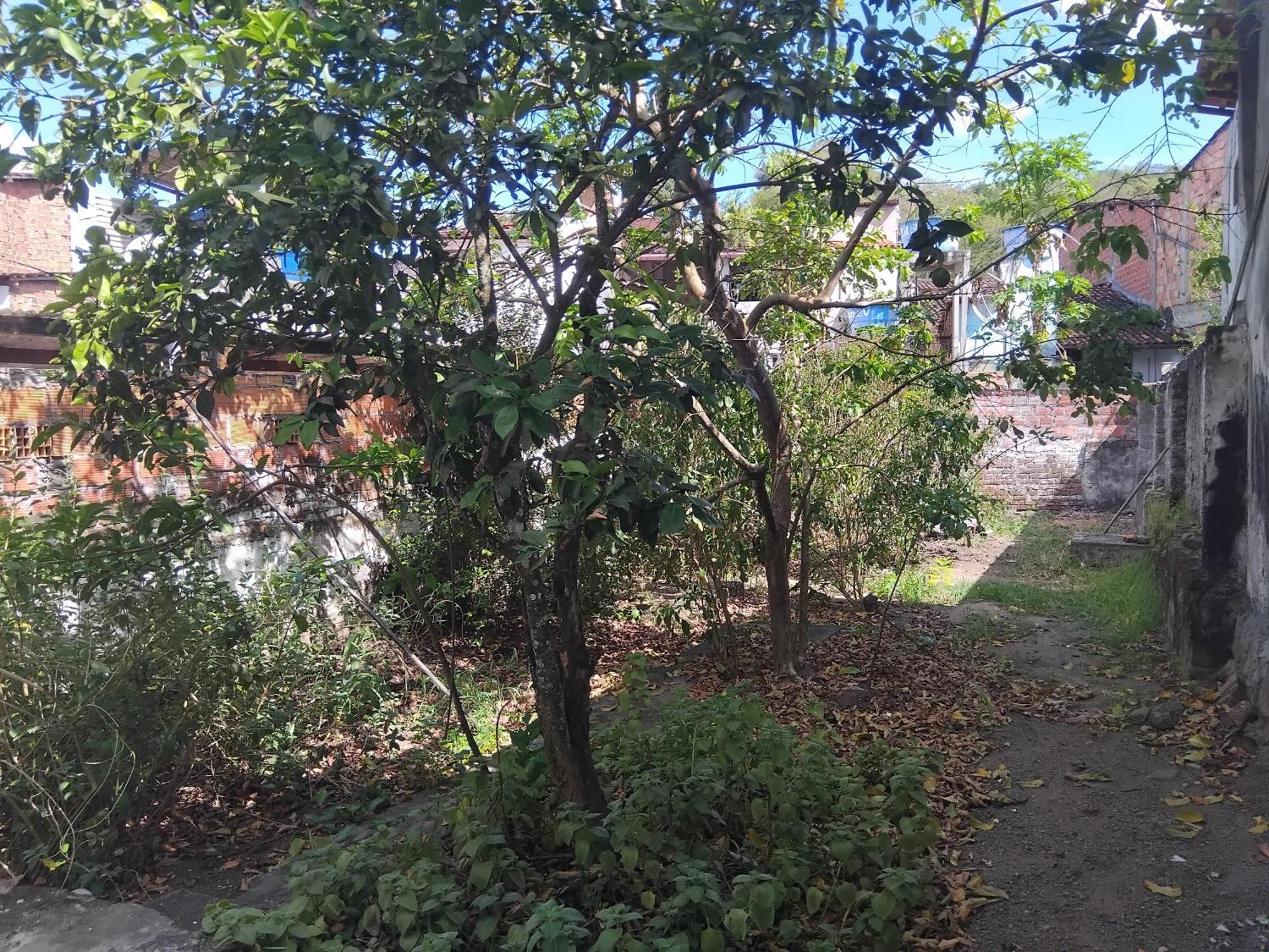 Casa De Guinho * São Félix